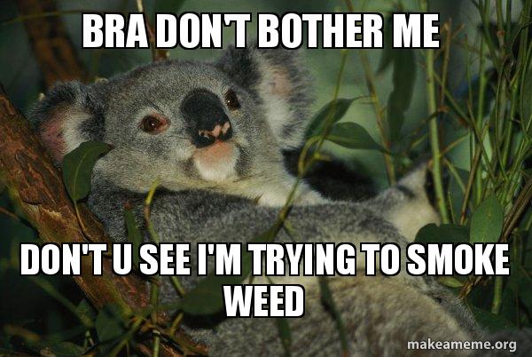 I smoke weed bra