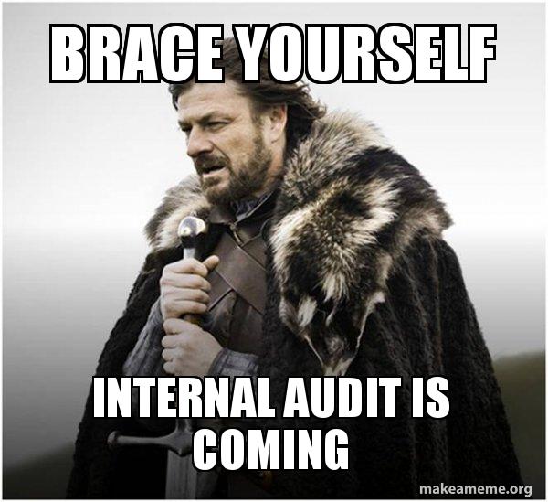 Brace yourself INTERNAL AUDIT is COMING Brace Yourself Game of