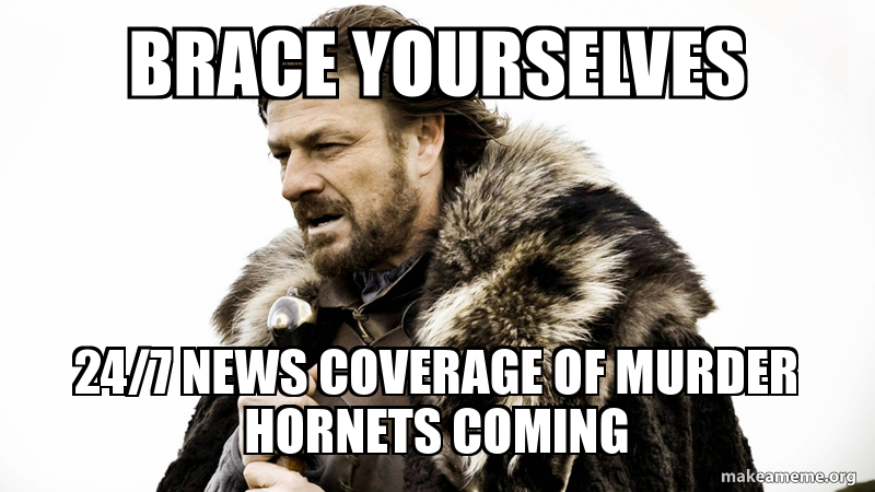 brace-yourselves-247-c212925230.jpg