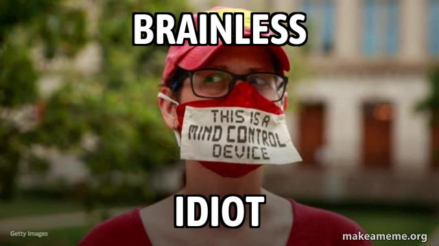 brainless idiot Meme Generator