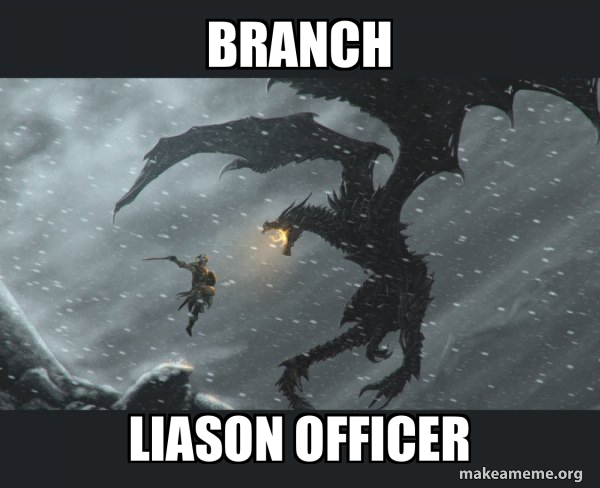 Skyrim Dragon Slaying meme