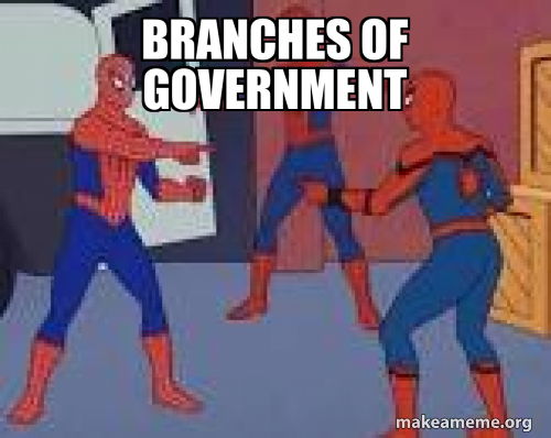 branches of government Meme Generator