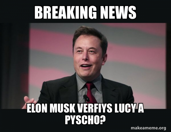 Elon Musk meme