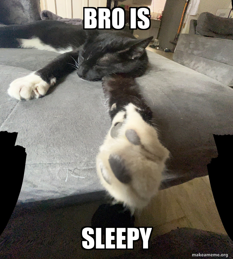 Let Bro Sleep bro is sleepy Meme Generator