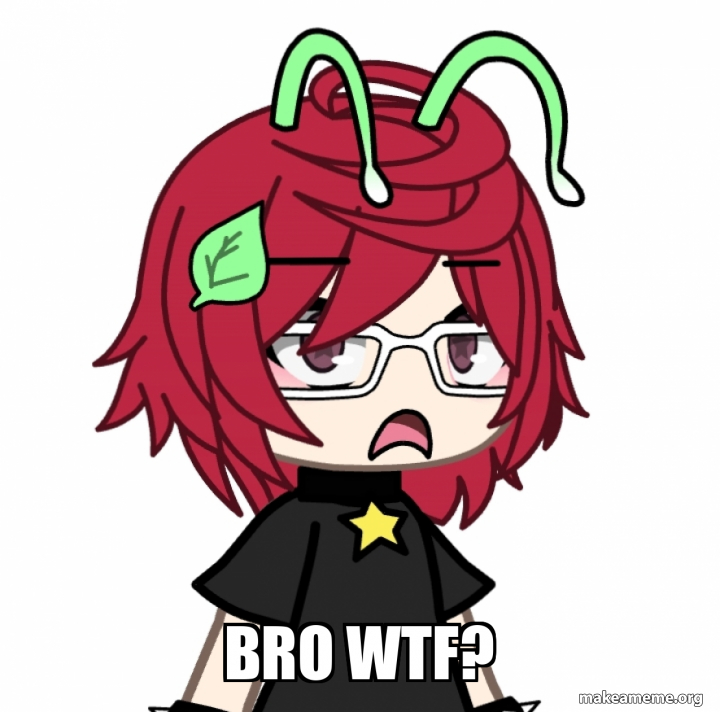 Bro wtf? Meme Generator