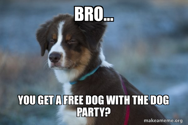 Unsure Dog meme