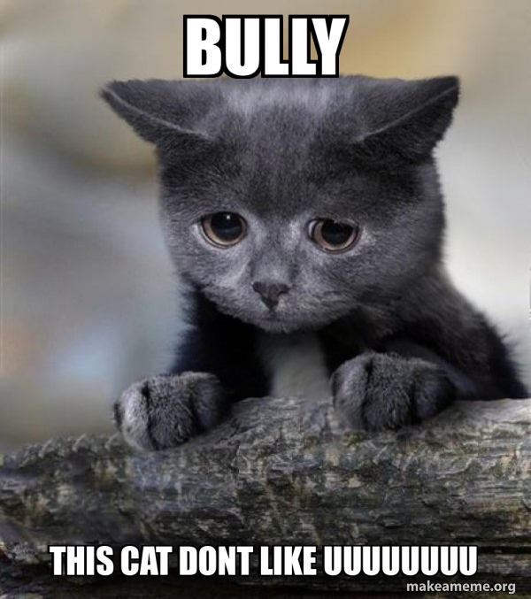bully this cat dont like uuuuuuuu Confession Cat Meme Generator
