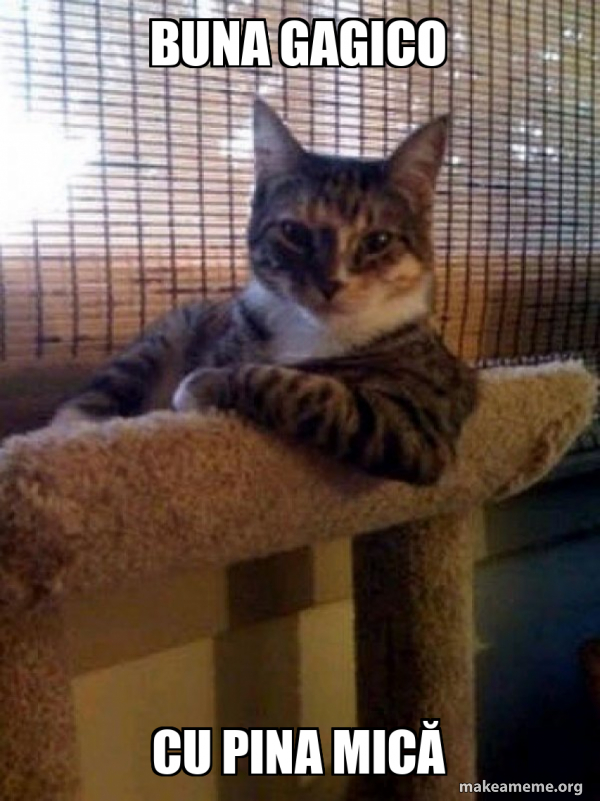 The Most Interesting Cat in the World meme