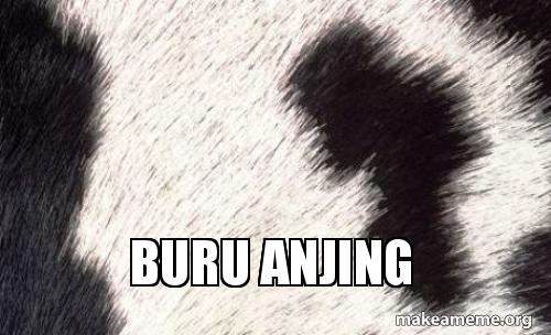 Buru Anjing Make A Meme