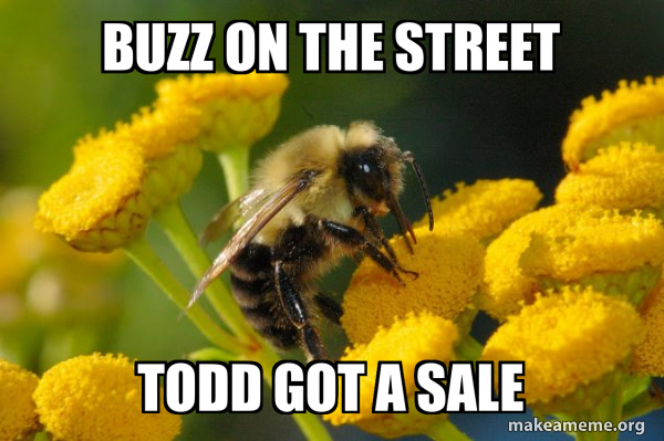 Good Guy Bee meme