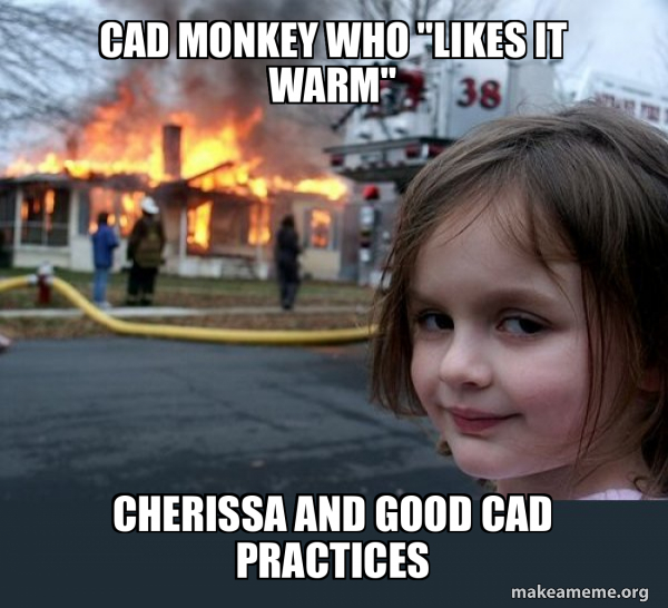 CAD Monkey who 