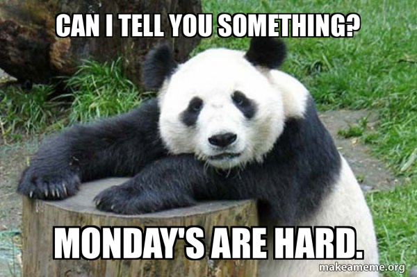 Confession Panda meme