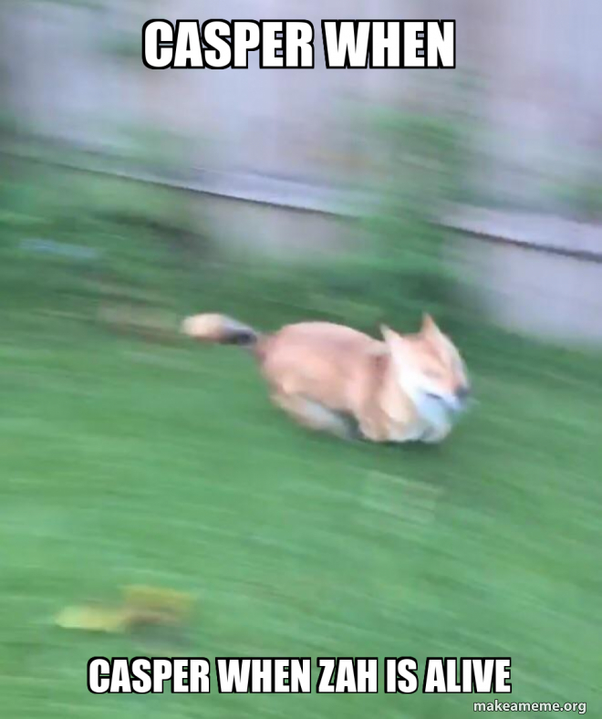 Casper when Casper when zah is alive Meme Generator