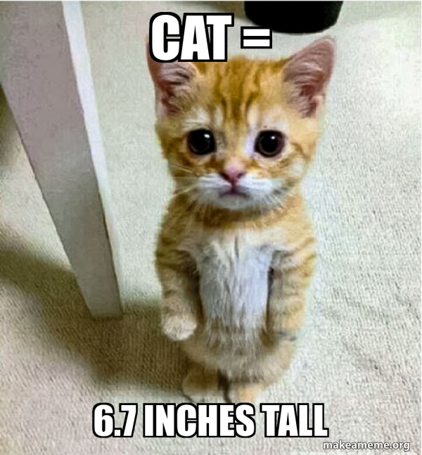 cat = 6.7 inches tall - Cute Cat Standing Meme Generator