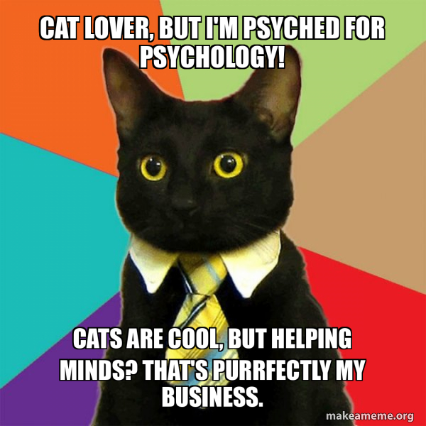 Business Cat meme
