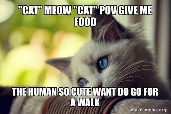 First World Cat Problems meme