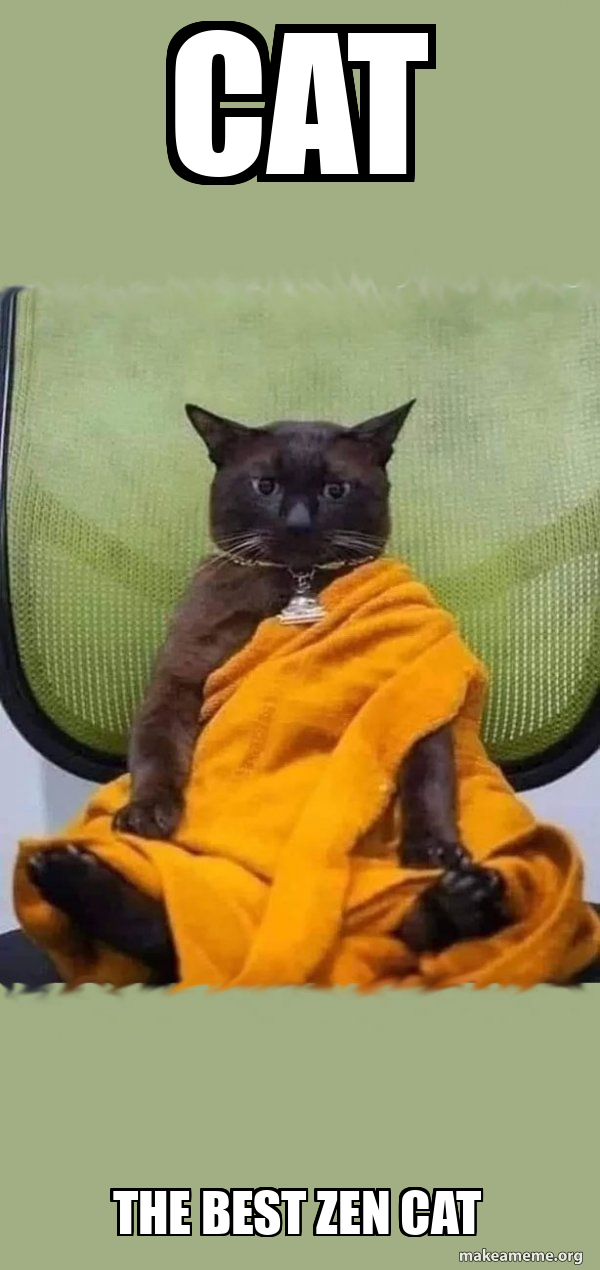  Cat The best zen cat - Zen Cat Meme Generator Bildidee 