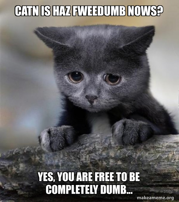 Confession Cat meme