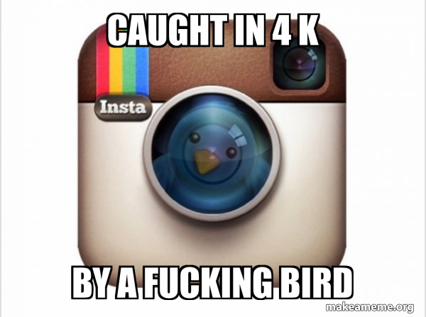 Instagram twitter meme