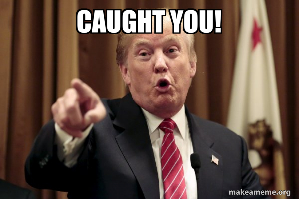 Donald Trump Says meme