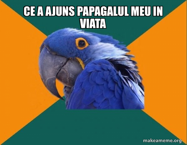 Paranoid Parrot meme