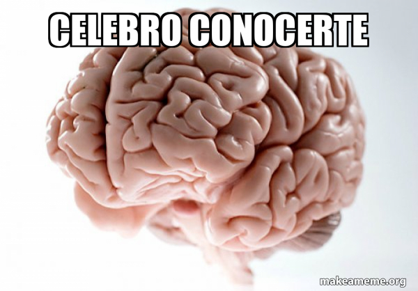 Scumbag Brain meme
