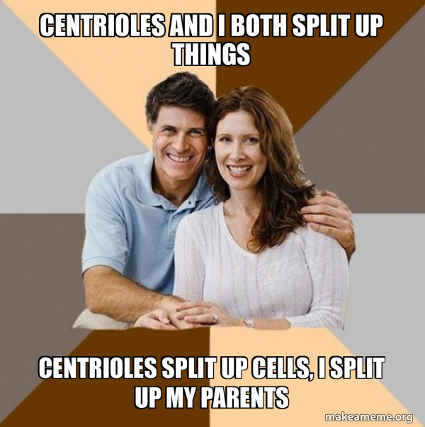 Scumbag Parents meme