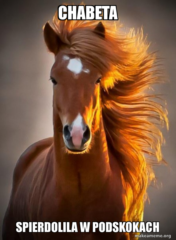 Ridiculously photogenic horse meme