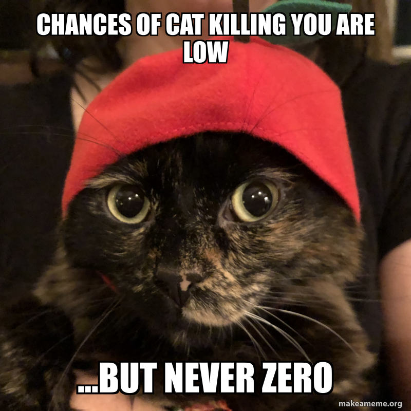 Chances of cat killing you are low …but never zero Make a Meme