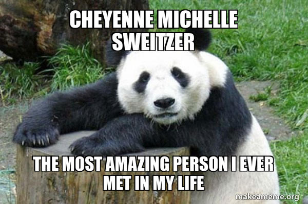 Confession Panda meme