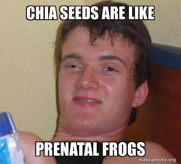 CHIA SEEDS ARE LIKE PRENATAL FROGS [10] guy Meme Generator