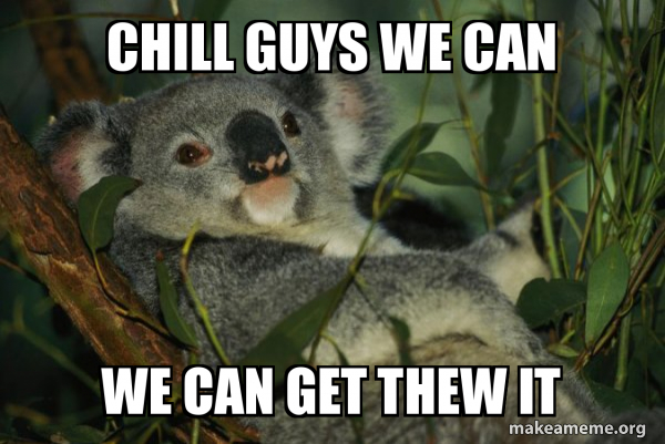 Laid Back Koala meme