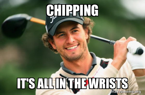 Adam Scott Golfer meme