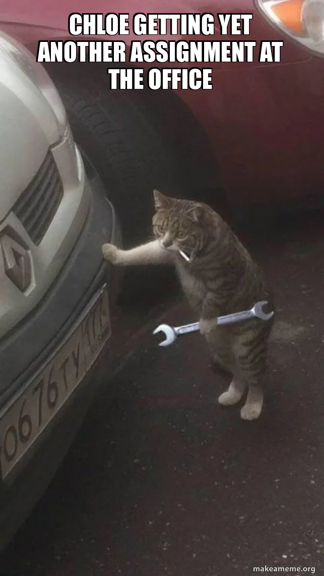 Chloe getting yet another assignment at the office - Mechanic Cat Meme ...