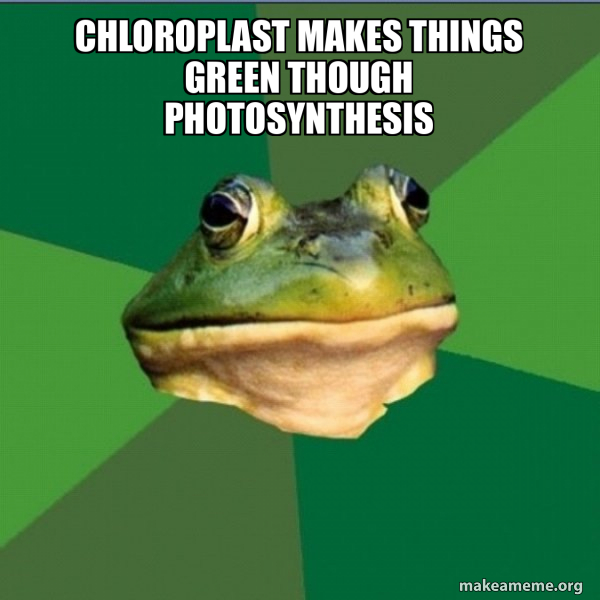 Foul Bachelor Frog meme