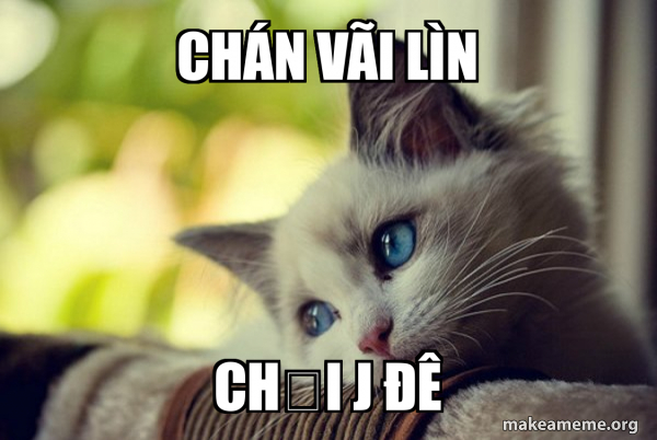 Chán vãi lìn Chơi j đê - First World Cat Problems Meme Generator