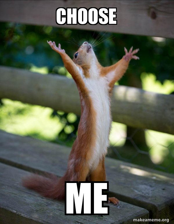 Choose Me Happy Squirrel Make A Meme