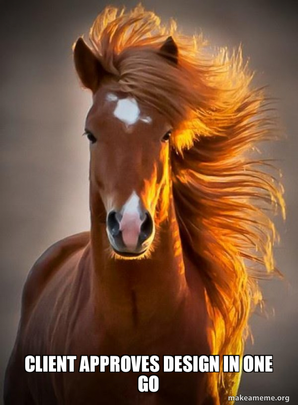 Ridiculously photogenic horse meme