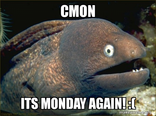 Bad Joke Eel meme