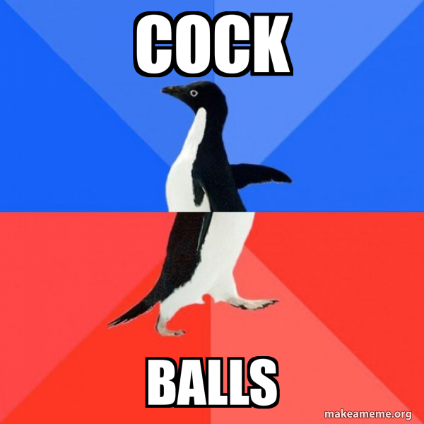 Socially Awkward Awesome Penguin meme