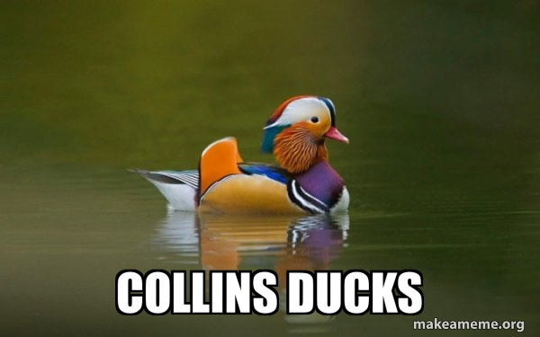 Fashionable Advice Mallard meme