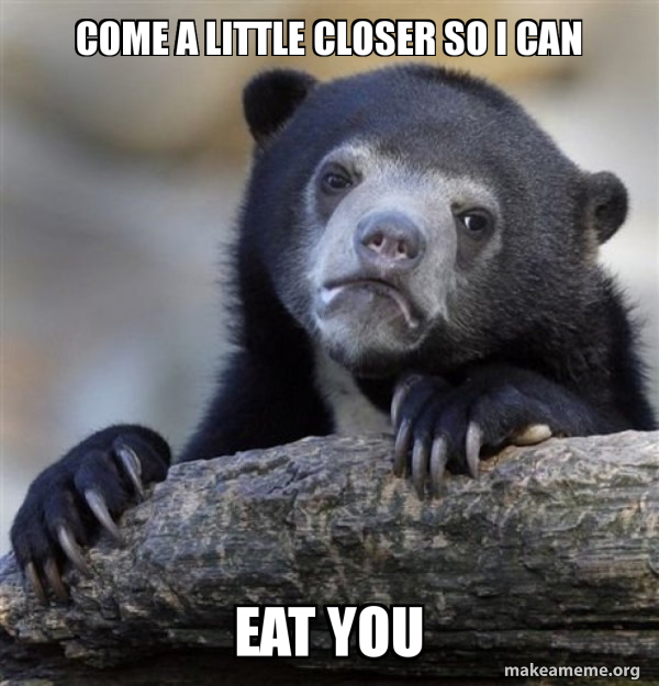 Confession Bear meme