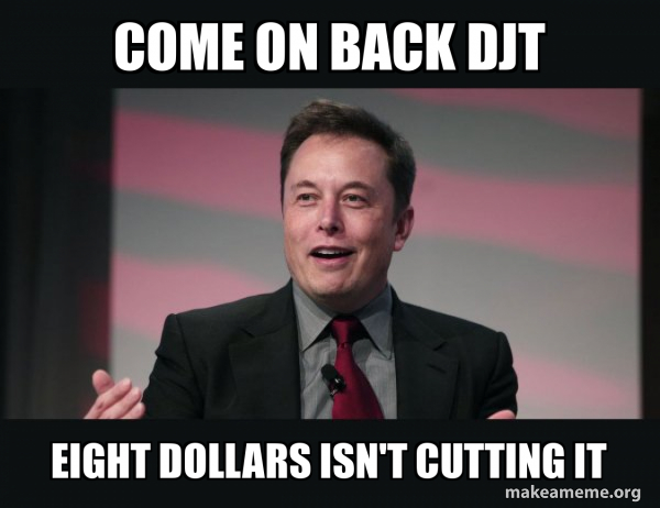 Elon Musk meme
