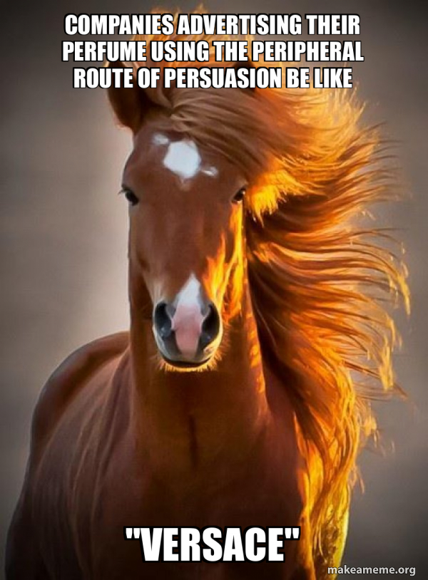 Ridiculously photogenic horse meme