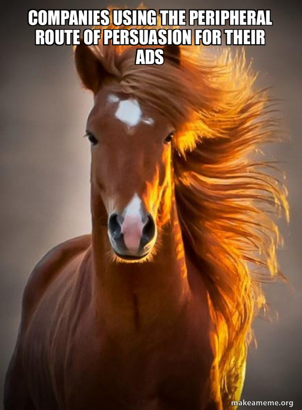 Ridiculously photogenic horse meme