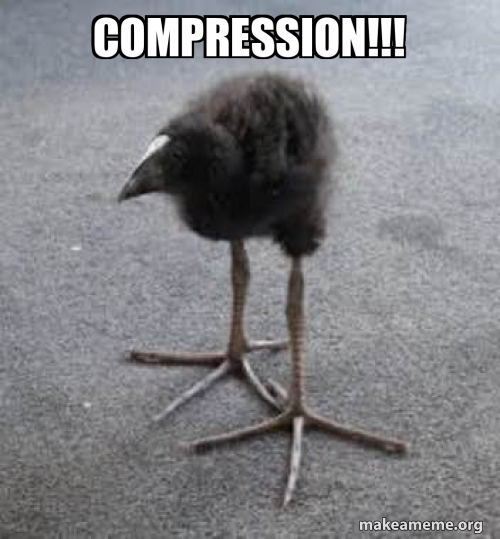 Compress Memes 20 Minute (Or Less) Meme Hacks Lerner Publishing