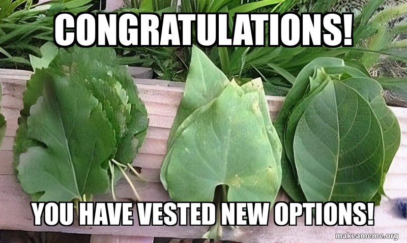 Congratulations! YOU HAVE VESTED NEW OPTIONS! Meme Generator