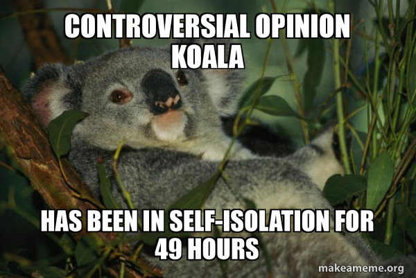 Laid Back Koala meme