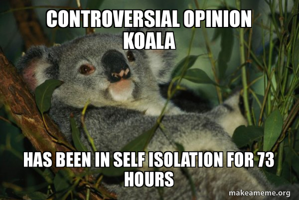 Laid Back Koala meme