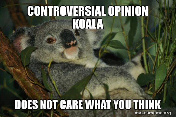 Laid Back Koala meme